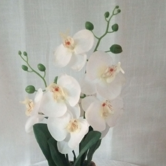 Green and White Faux Floral Orchid Accent Arrangement - Picture 4 of 5